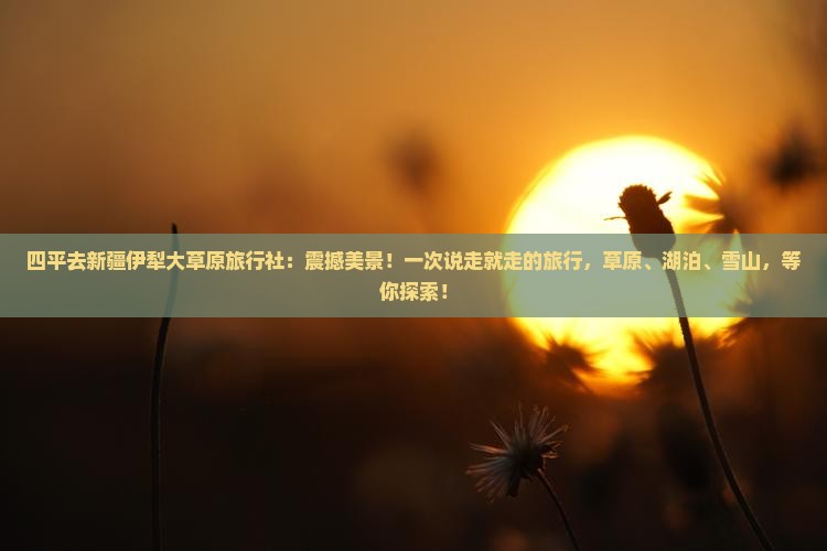四平去新疆伊犁大草原旅行社