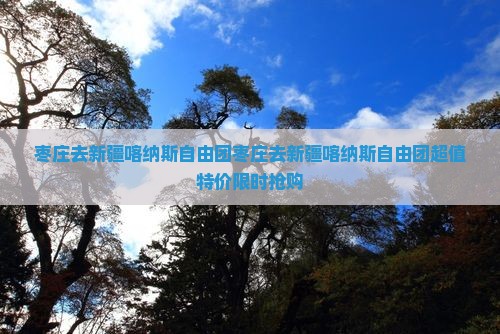 枣庄去新疆喀纳斯自由团