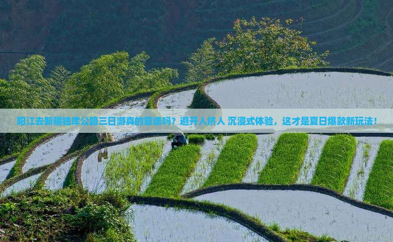 阳江去新疆独库公路三日游
