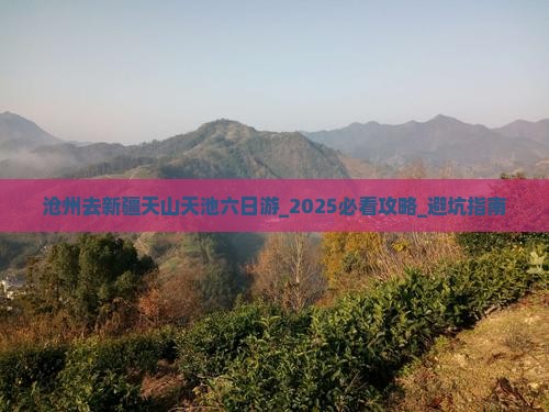 沧州去新疆天山天池六日游