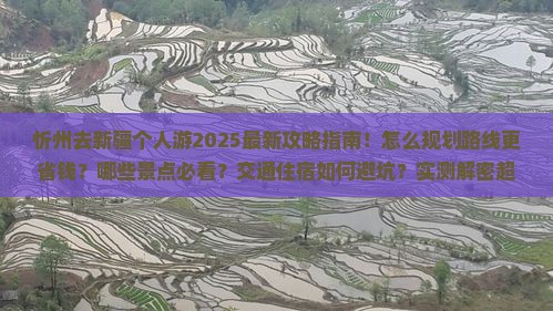 忻州去新疆个人游