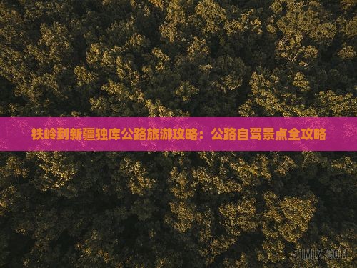 铁岭到新疆独库公路个人游