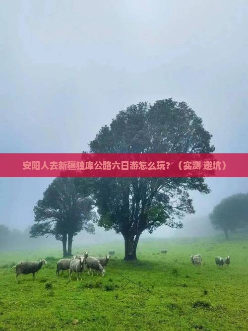 安阳去新疆独库公路六日游