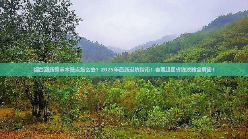 烟台到新疆禾木景点