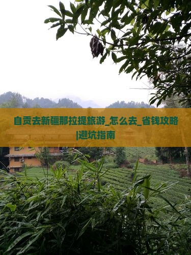 自贡去新疆那拉提旅游