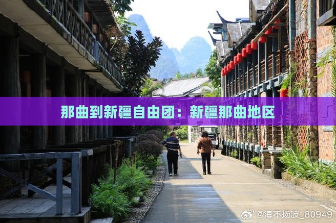 那曲到新疆自由团