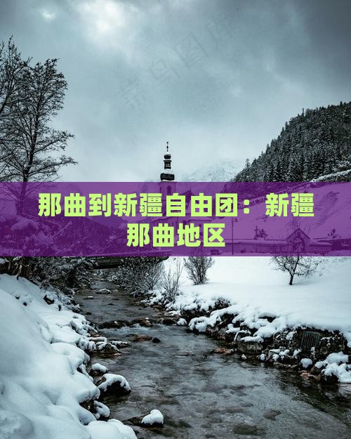 那曲到新疆自由团