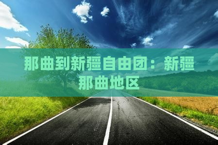 那曲到新疆自由团