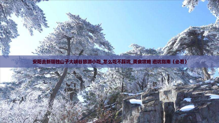 安阳去新疆独山子大峡谷旅游小吃