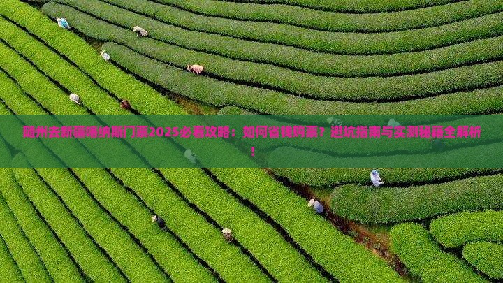 随州去新疆喀纳斯门票