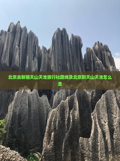 北京去新疆天山天池旅行社