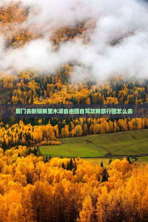 厦门去新疆赛里木湖自由团