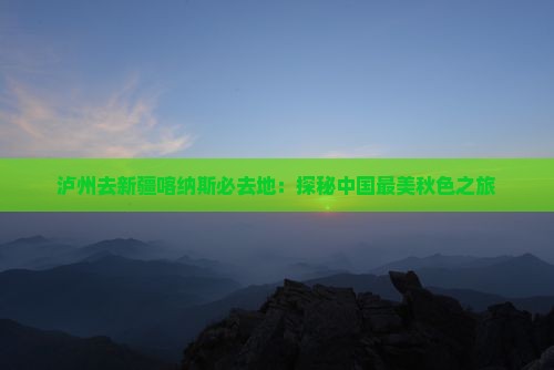 泸州去新疆喀纳斯必去地