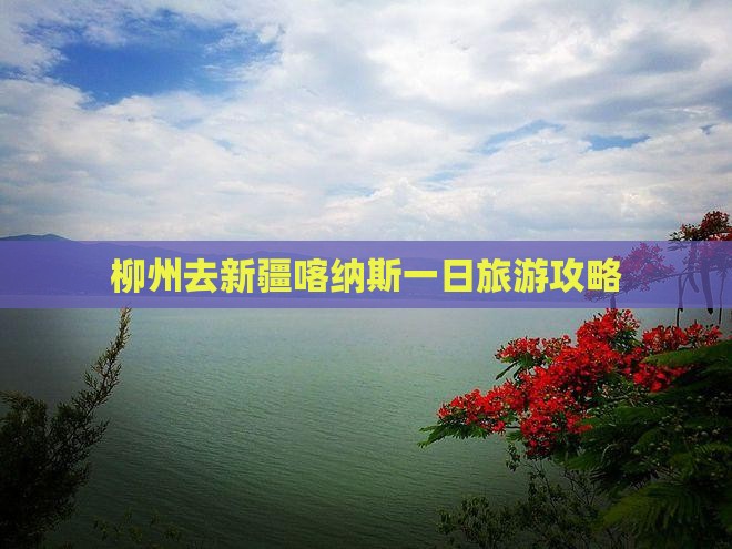 柳州去新疆喀纳斯一日