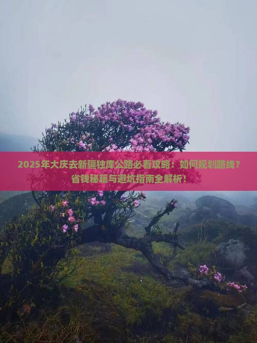 大庆去新疆独库公路攻略