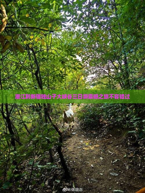潜江到新疆独山子大峡谷三日游