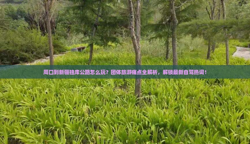 周口到新疆独库公路团体旅游