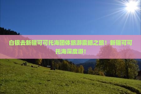 白银去新疆可可托海团体旅游