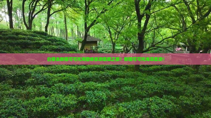 白银去新疆可可托海团体旅游