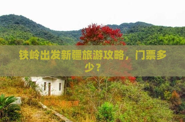 铁岭去新疆门票