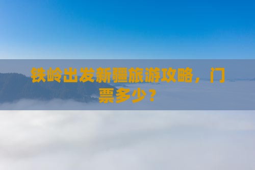 铁岭去新疆门票