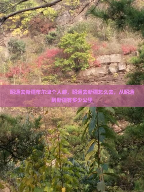 昭通去新疆布尔津个人游