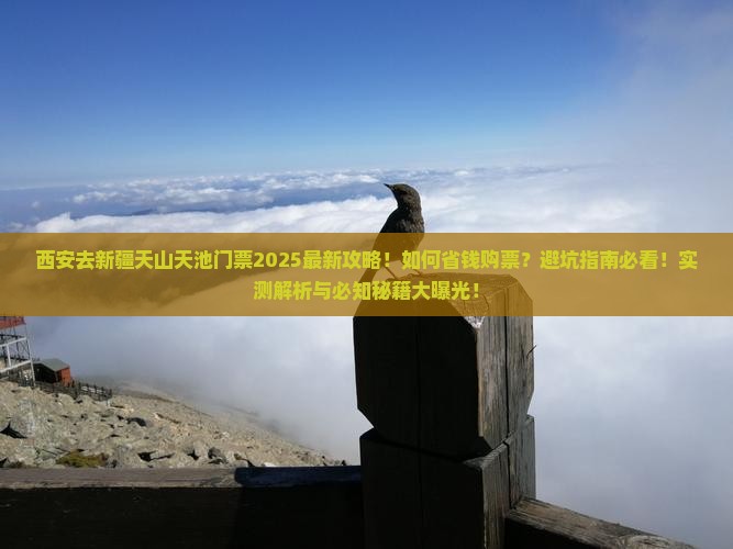 西安去新疆天山天池门票