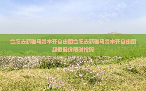 合肥去新疆乌鲁木齐自由团