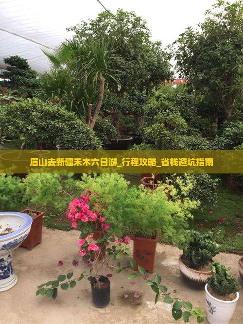 眉山去新疆禾木六日游