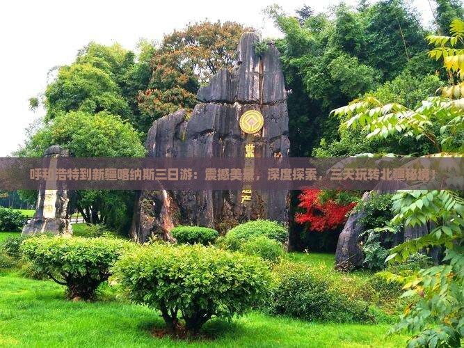 呼和浩特到新疆喀纳斯三日游