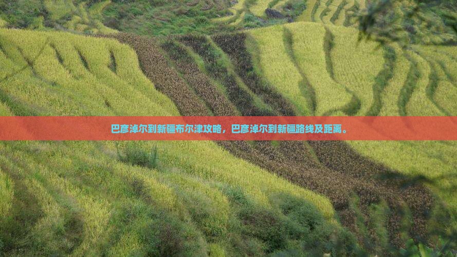 巴彦淖尔到新疆布尔津攻略
