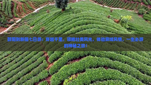 邵阳到新疆七日游