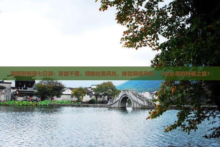 邵阳到新疆七日游