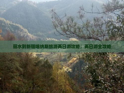 丽水到新疆喀纳斯二日游
