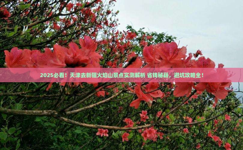 天津去新疆火焰山景点