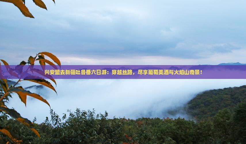 兴安盟去新疆吐鲁番六日游