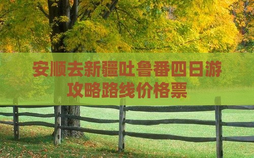 安顺去新疆吐鲁番四日游