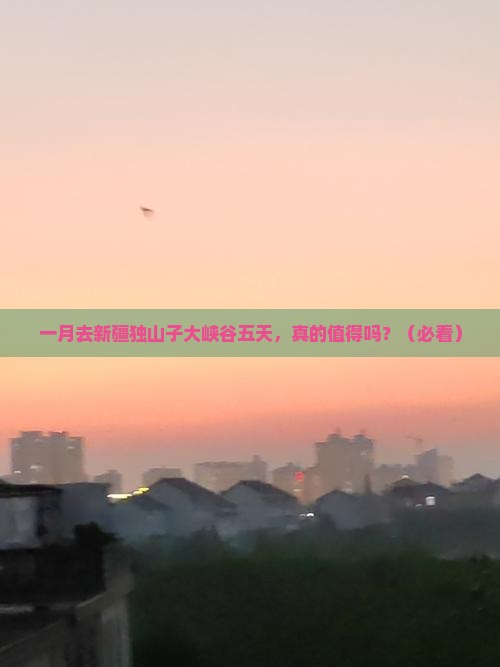 一月到新疆独山子大峡谷五日游