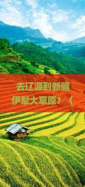 辽源去新疆伊犁大草原门票