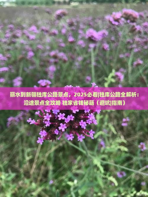 丽水到新疆独库公路景点