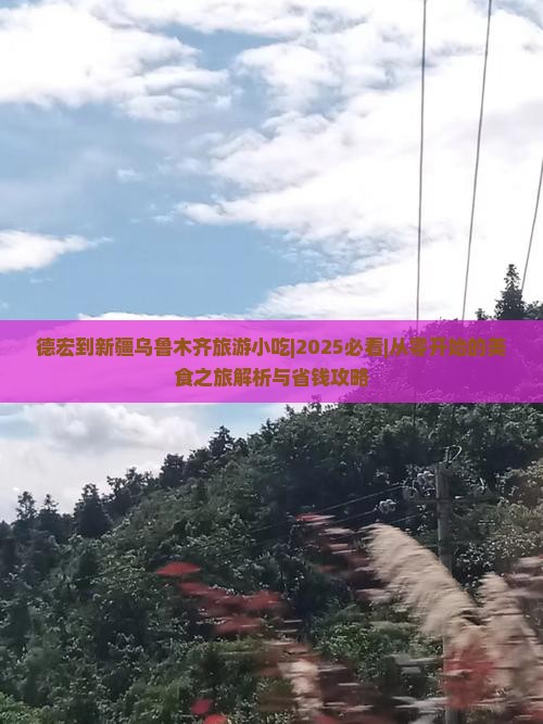 德宏到新疆乌鲁木齐旅游小吃