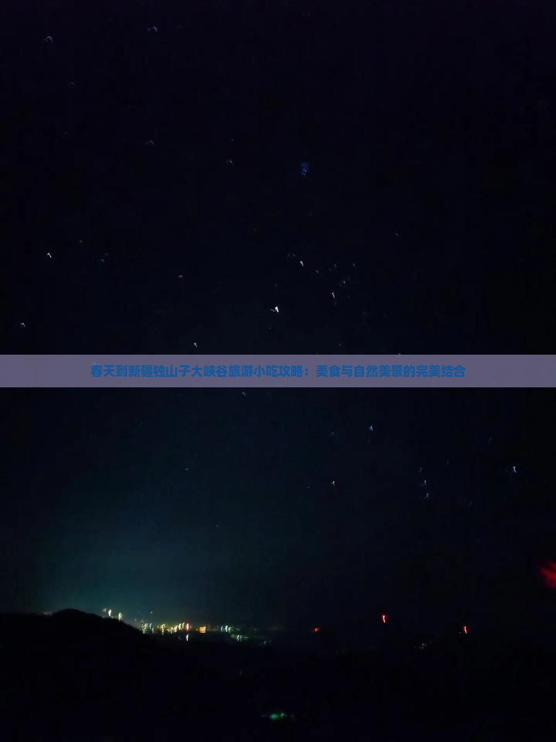 春天到新疆独山子大峡谷旅游小吃