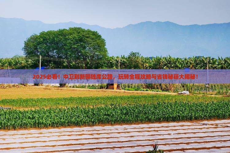 中卫到新疆独库公路哪里玩