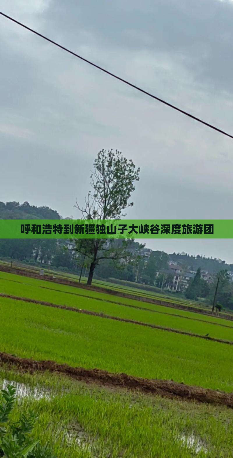 呼和浩特到新疆独山子大峡谷大型旅游团