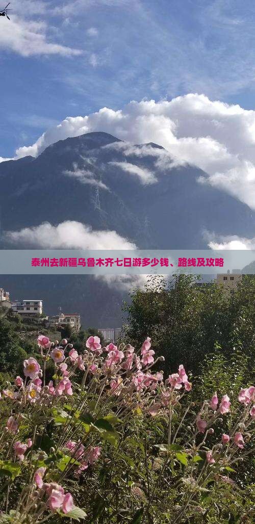 泰州去新疆乌鲁木齐七日游