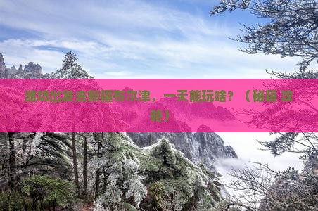 潍坊到新疆布尔津一日