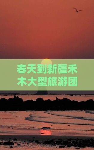 春天到新疆禾木大型旅游团