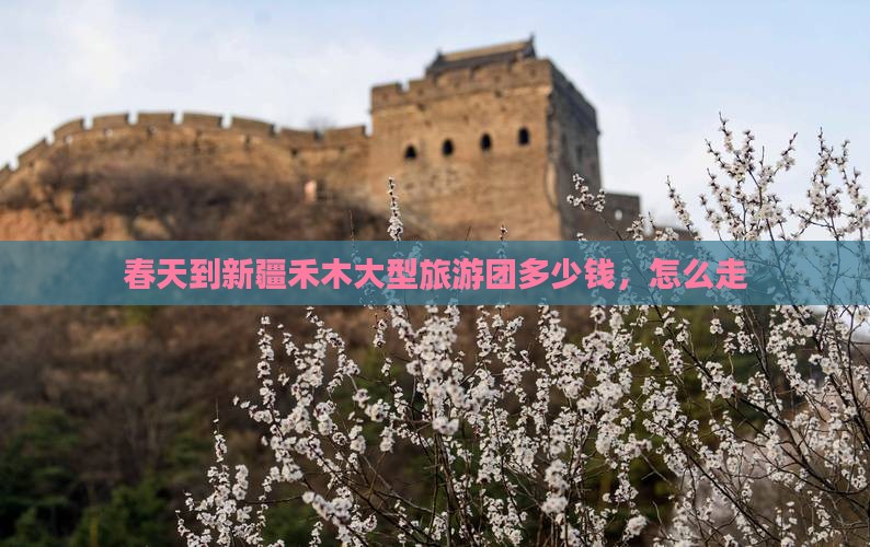 春天到新疆禾木大型旅游团