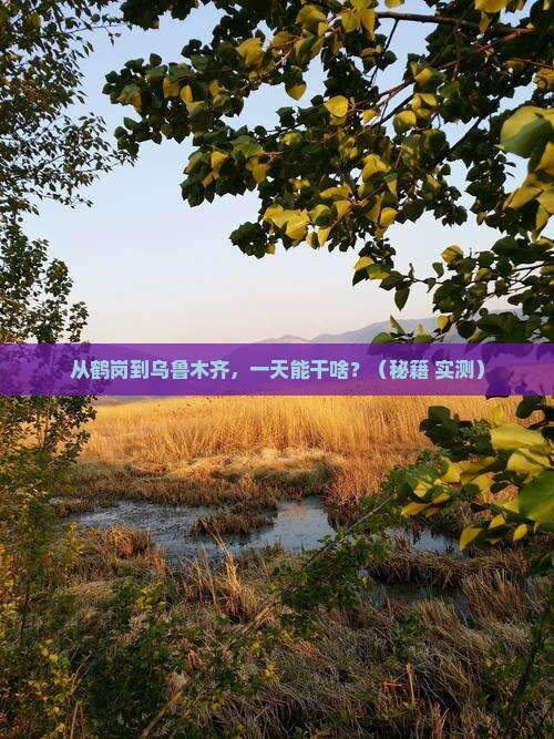 鹤岗去新疆乌鲁木齐一日