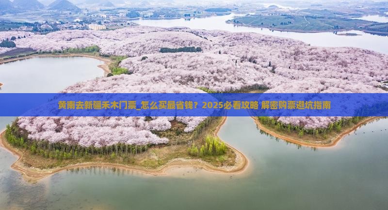 黄南去新疆禾木门票